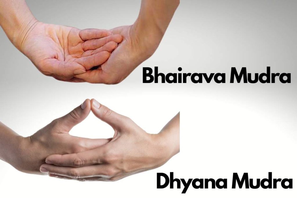 bhairava mudra and dhyana mudra