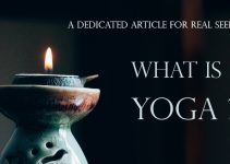 Yoga brief History