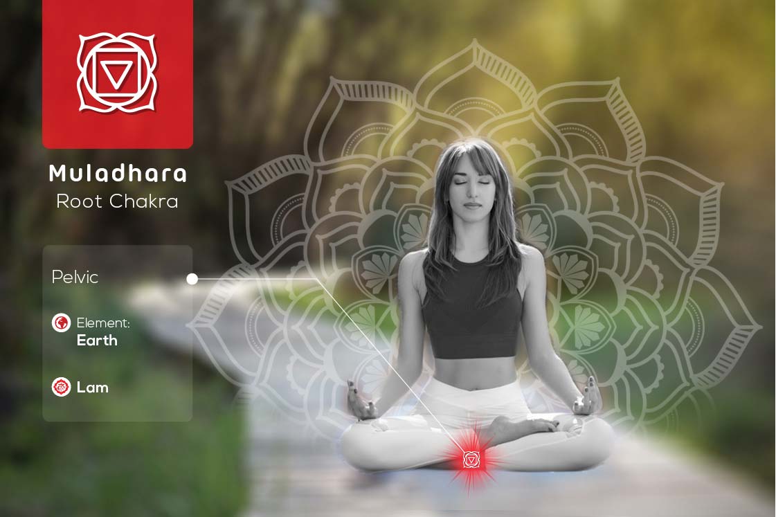 muladhara or root chakra