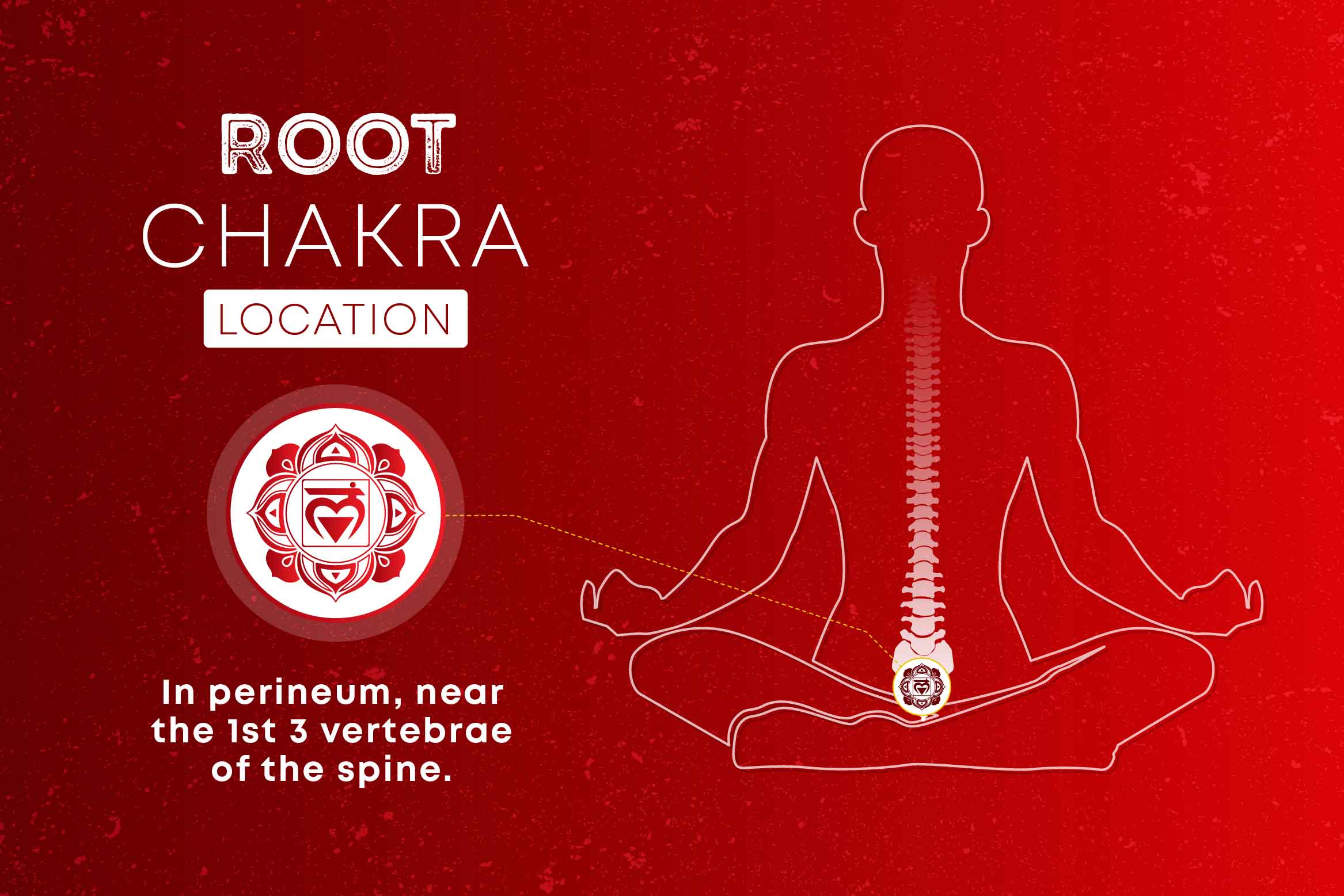 location of root chakra