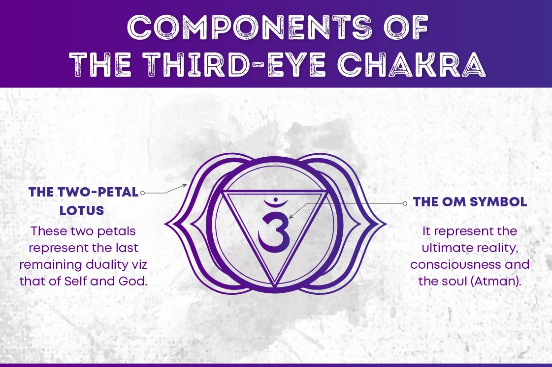 The Third Eye Chakra Symbol Is A Two Petaled Purple Lotus With A