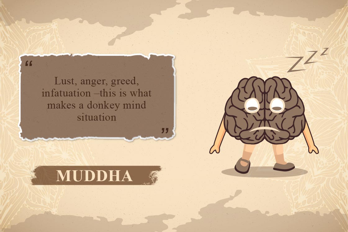 muddha state of mind - donkey mind