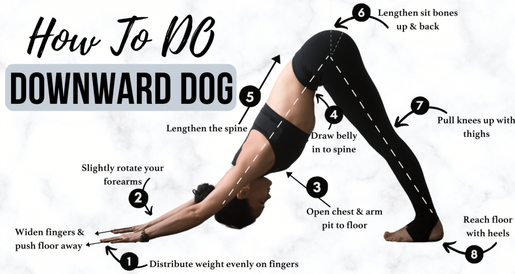 Downward Facing Dog Pose (Adho Mukha Svanasana)