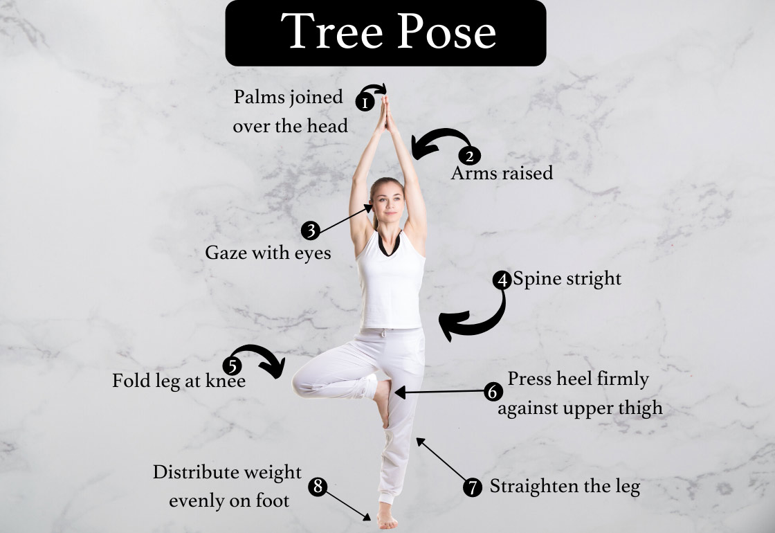 how to do tree pose or vriksasana