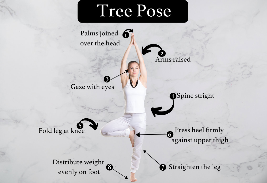 6 variations on tree pose