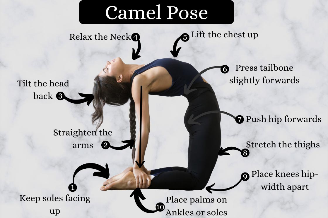 camel pose instructions