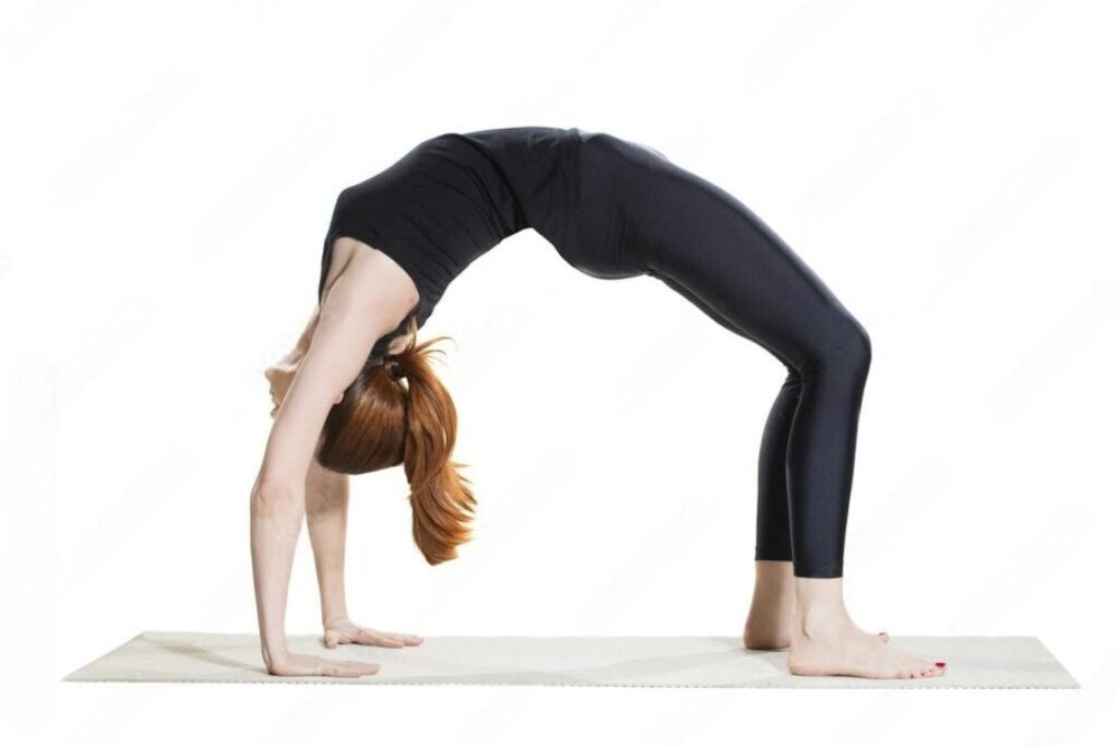 Urdhva Dhanurasana (Upward Bow Pose)