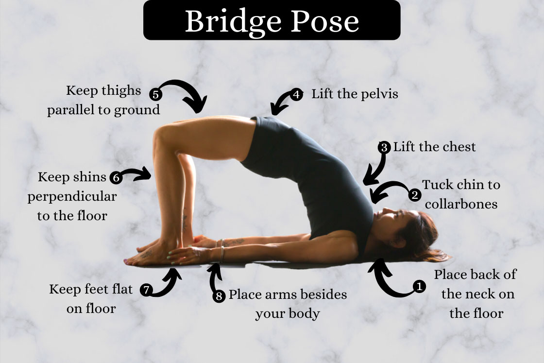 Bridge pose (setu bandhasana) Beautiful sporty woman doing yoga workout,  standing in bridge pose, dvi pada pithasana, setu | CanStock