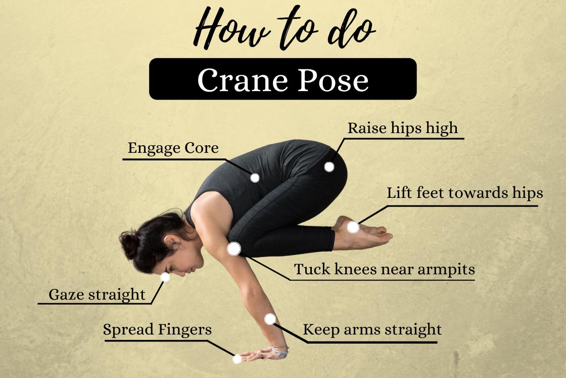 crane pose vs crow