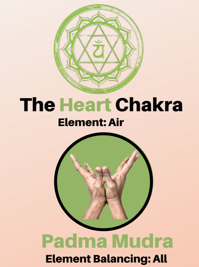 padma mudra for heart Chakra