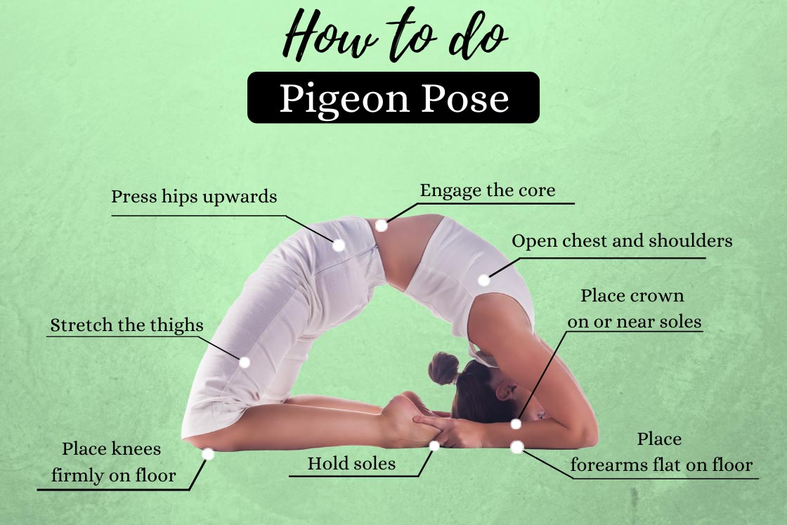 Extended OneLegged Pigeon Pose Asana Instructions  Photos  Yoga Basics