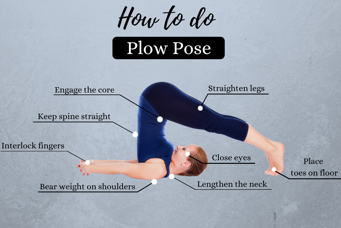 Plow Pose Halasana How To Perform Benefits And Precautions Fitsri Yoga 0529