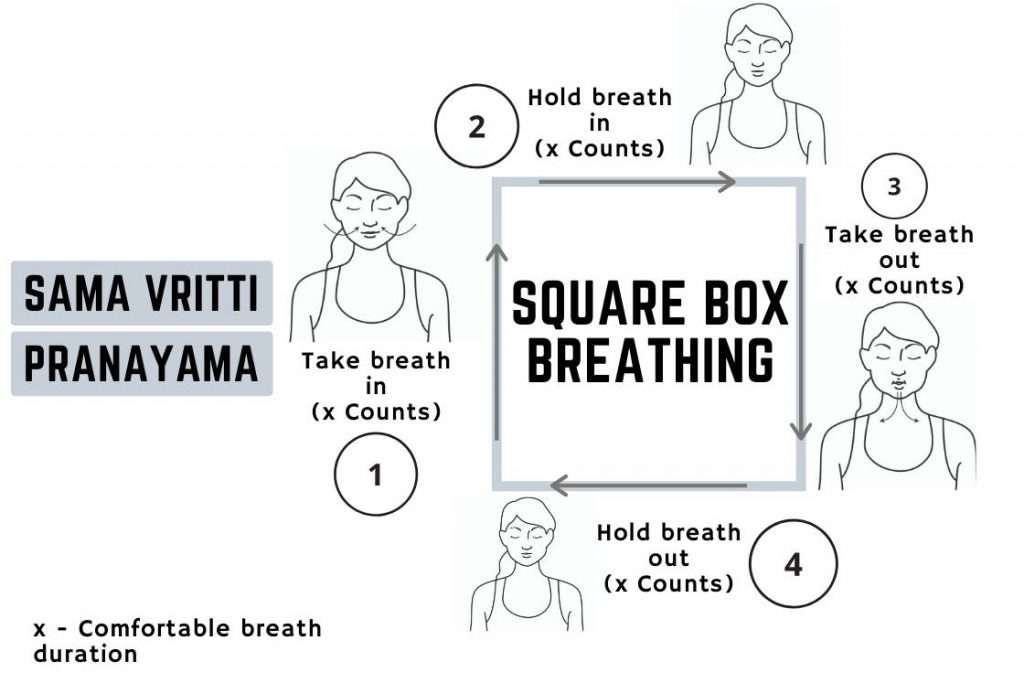 sama vritti pranayama cycle