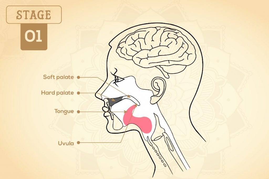 khechari mudra stage 1