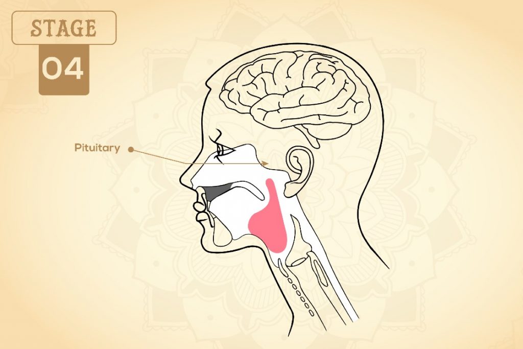 khechari mudra stage 4