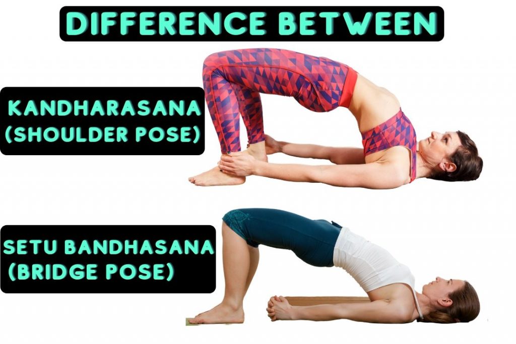 Kandharasana (shoulder pose) vs. Setu bandhasana (bridge pose)