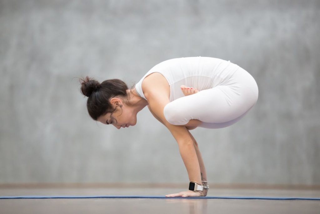 Kukkutasana Cockerel Pose Steps Benefits Precautions Fitsri Yoga