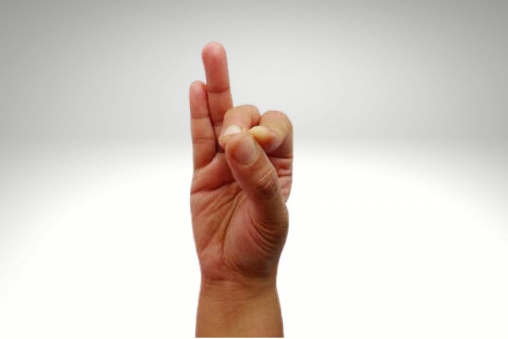 Vyana mudra