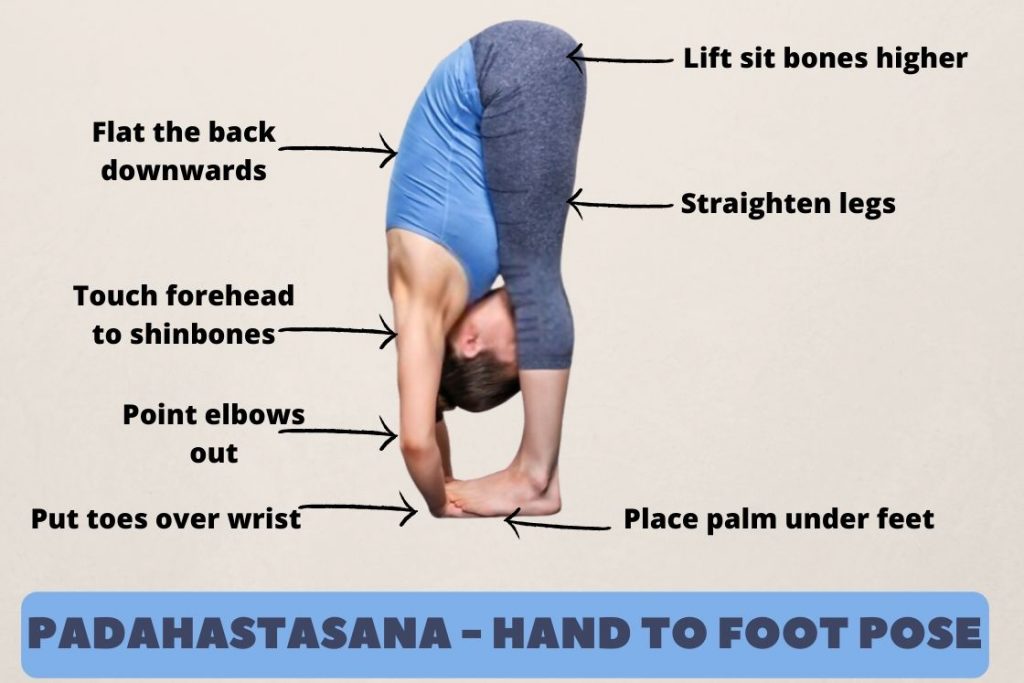 Hasta-padasana (standing hand-to-foot pose) with video