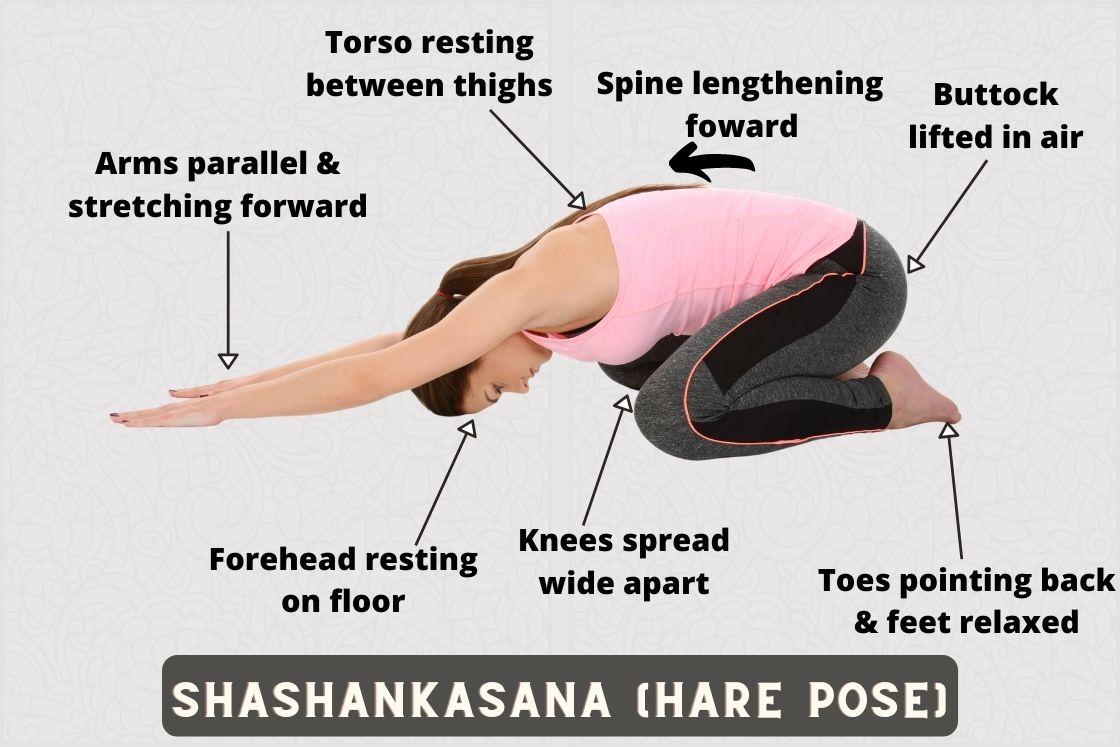how to do Shashankasana (hare pose)