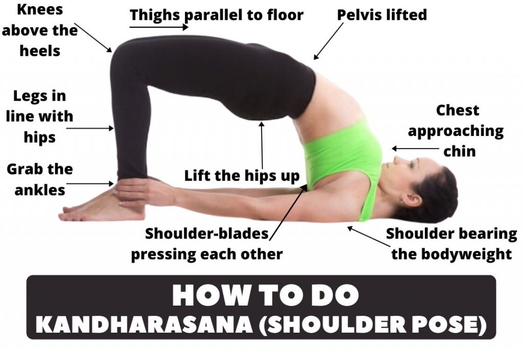how to do kandharasana or shoulder pose