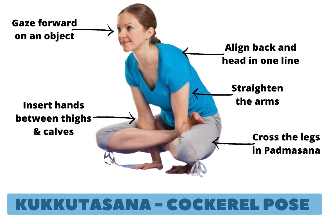 how to do kukkutasana - Cockerel pose or rooster pose