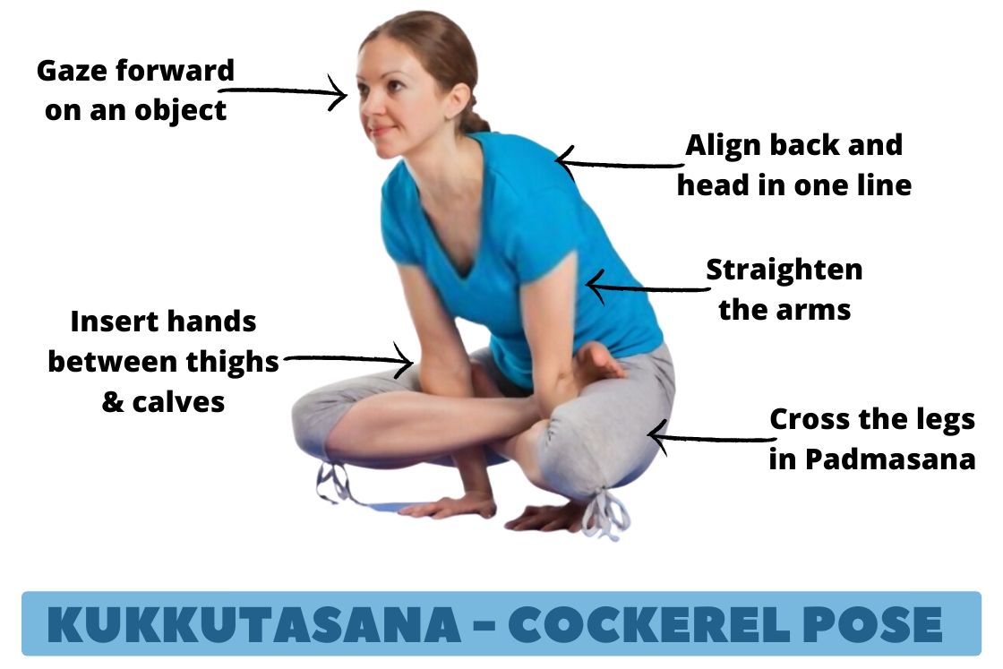 Kukkutasana Cockerel Pose Steps Benefits Precautions Fitsri Yoga