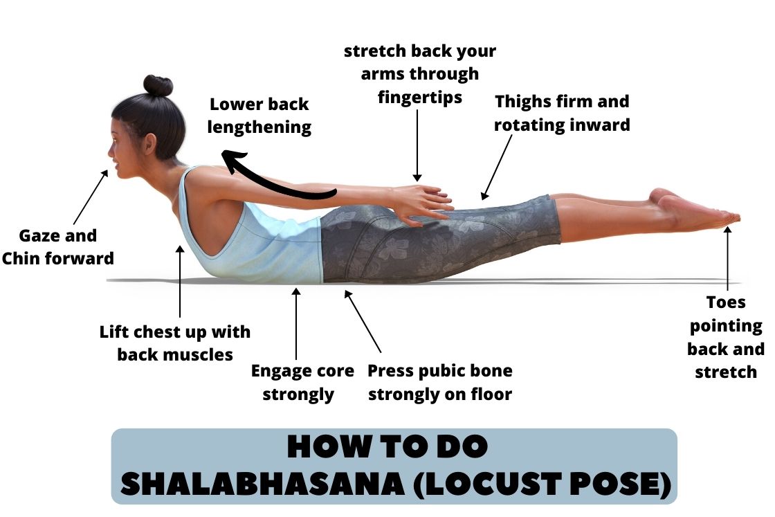 Shalabhasana Locust Pose Meaning Steps Benefits Precautions 