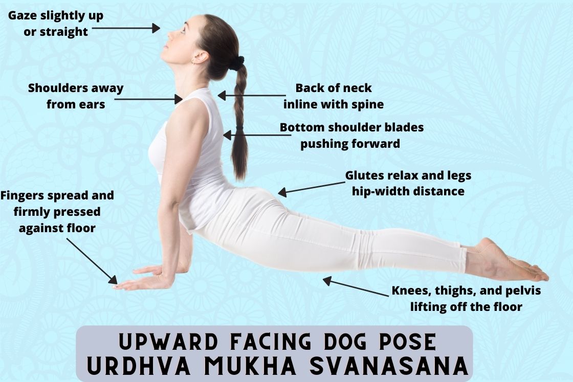 how to do upward facing dog pose