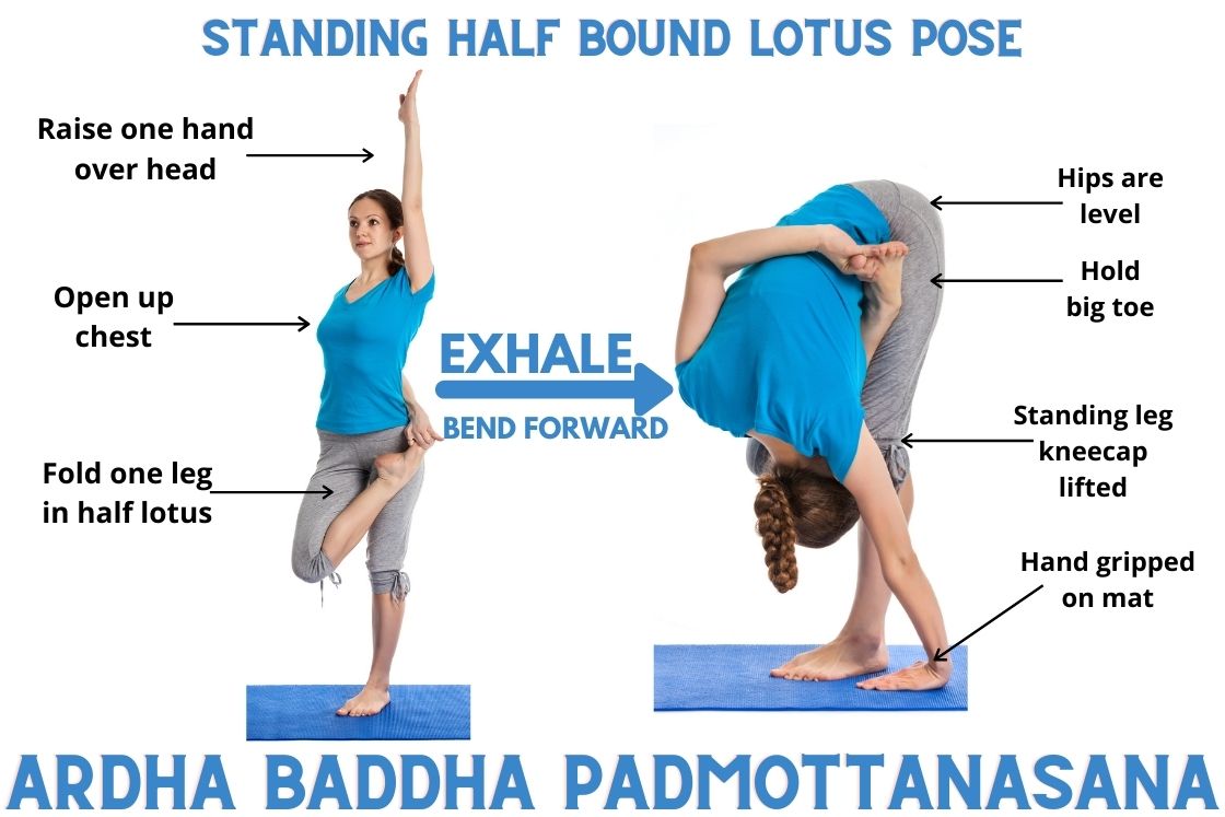 how to do ardha baddha padmottanasana (half bound lotus forward fold)