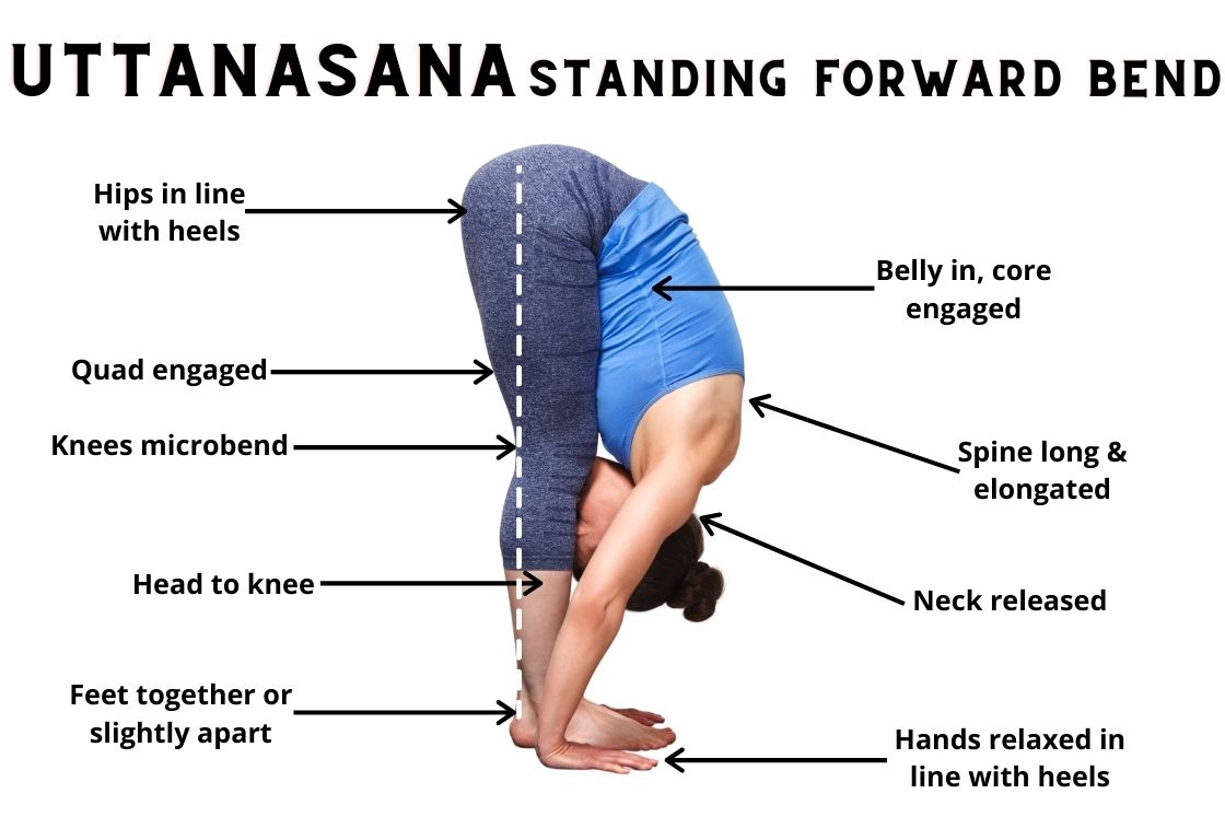 how to do uttanasana (standing forward bend)