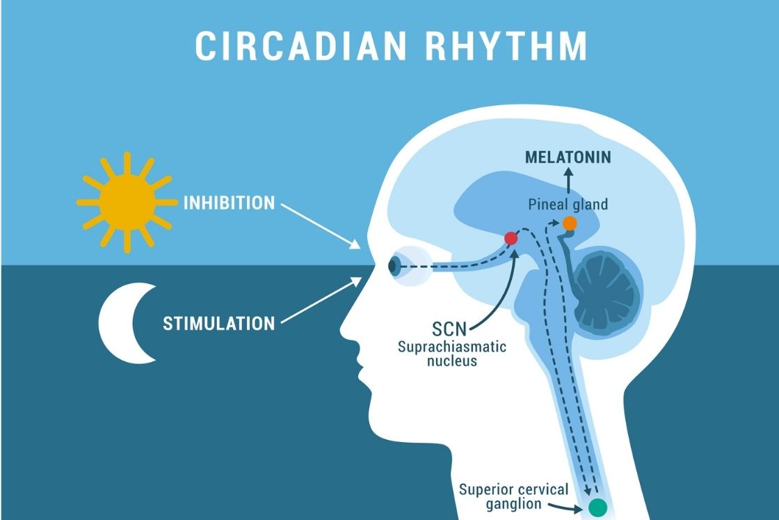 pranayama helps in sleep