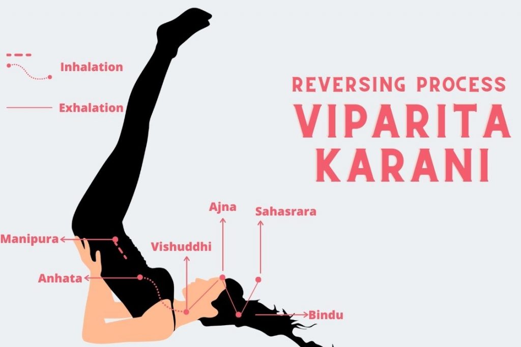 Viparita Karani reversing process