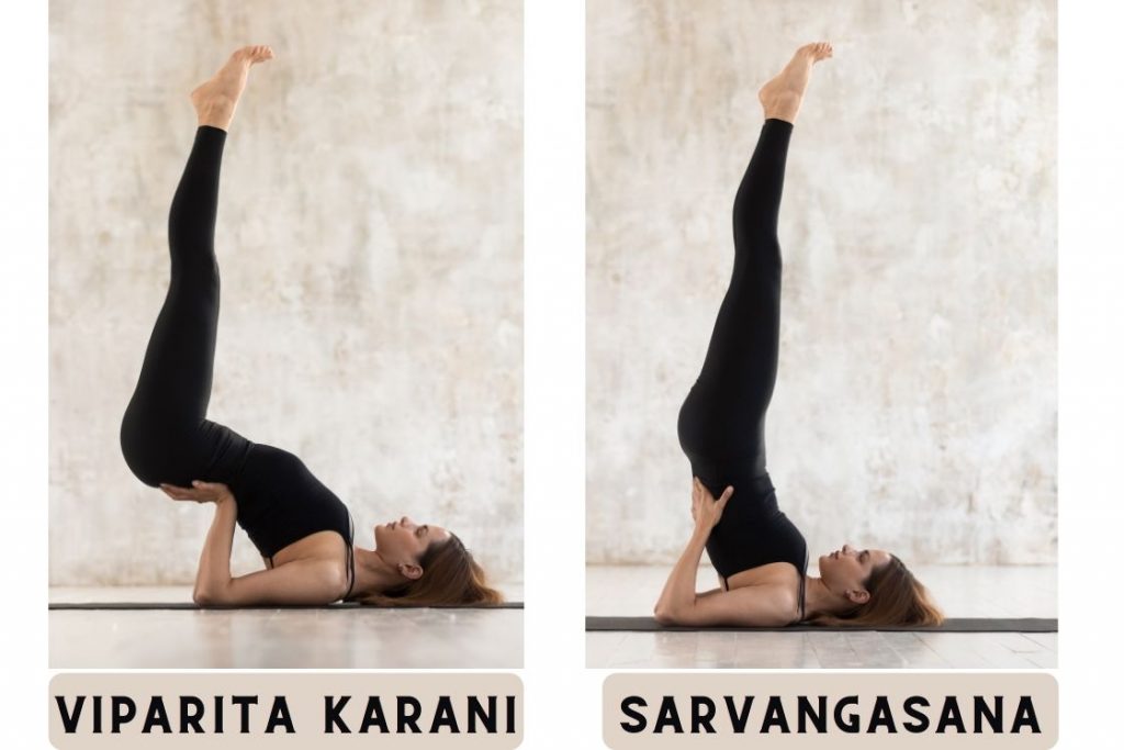 difference between viparita karani and sarvangasana