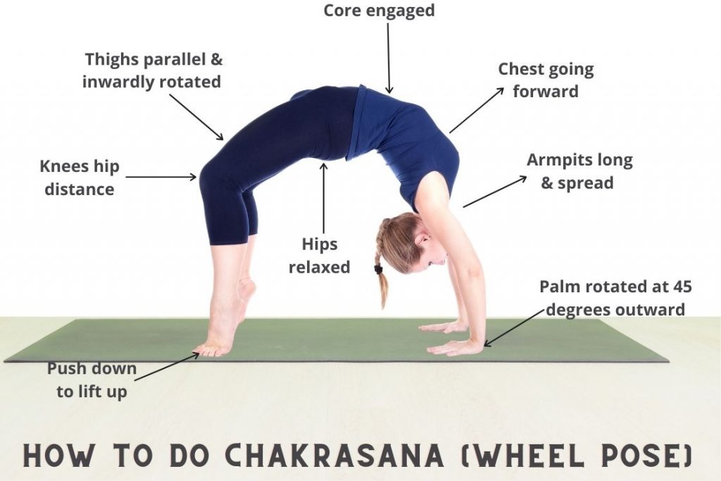 how to do chakrasana