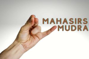Mahasirs Mudra: Benefits, How to Practice, and Healing Uses