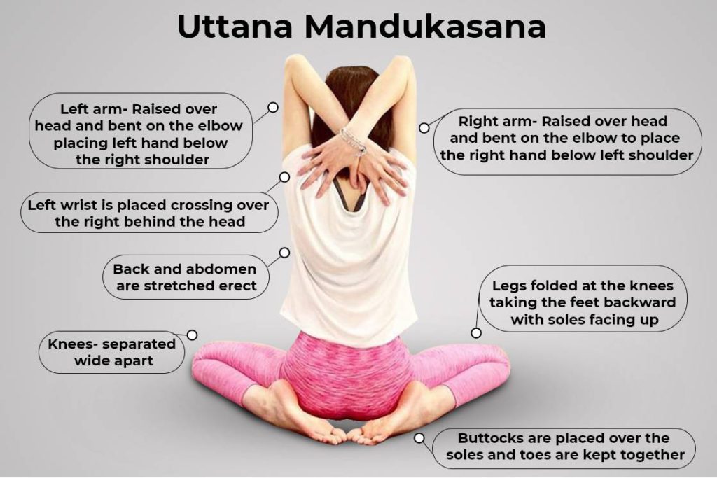 Uttana Mandukasana how to do