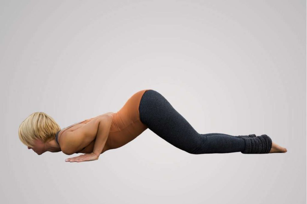 Eight-Limbed Pose - Yoga Basics