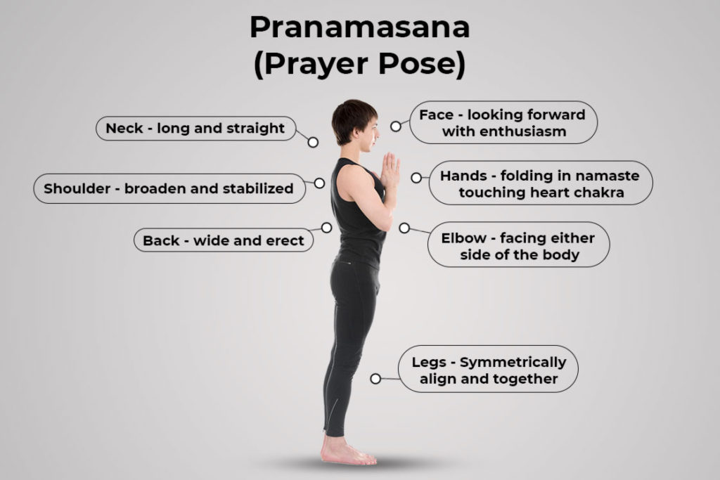 Lotus prayer pose yoga meditation Royalty Free Vector Image