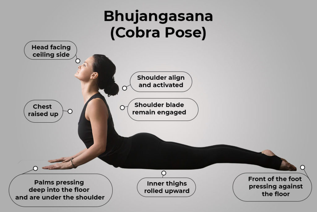 Yoga Asana Cobra Pose Vector & Photo (Free Trial) | Bigstock