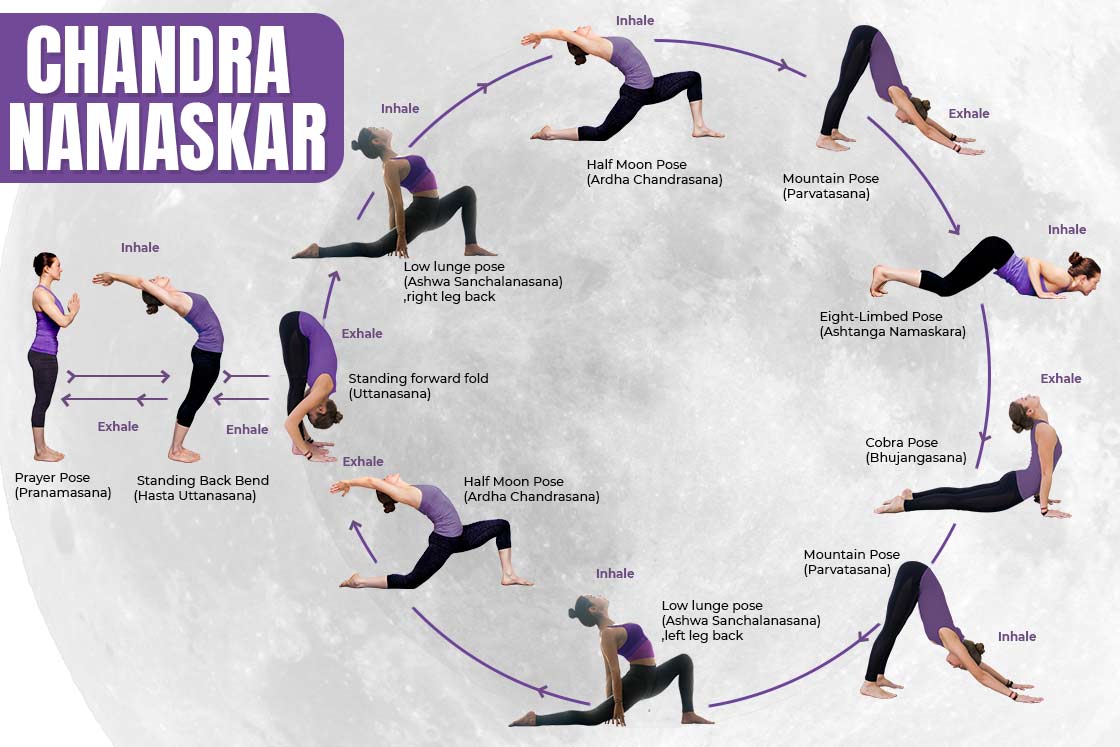 Buy A4 Surya Namaskar Sequence Sun Salutation Educational Poster Printable  Poster Hatha Yoga Online in India - Etsy