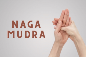 Naga Mudra – The Mudra to Solve Your Everyday Problems