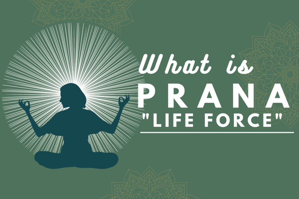 Prana Yoga online - Daily Info