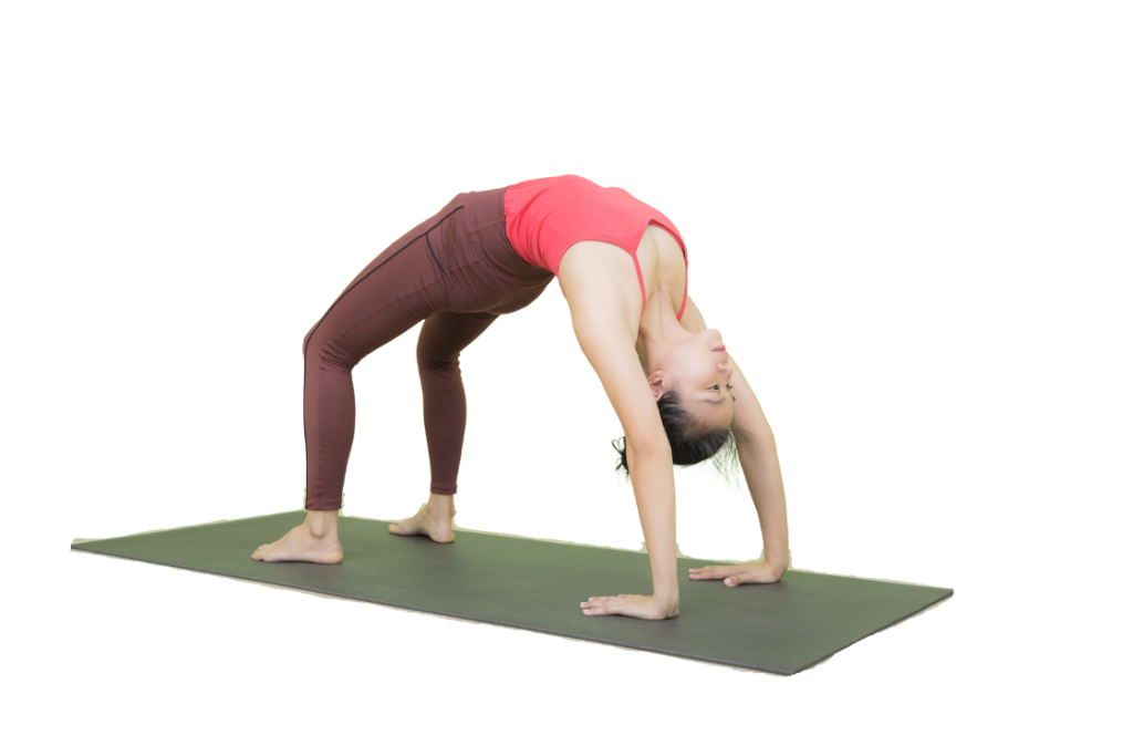 Markatasana#Monkey Yoga Pose#Spinal Twist yoga pose for Flexible spine#Yoga  for beginners - YouTube