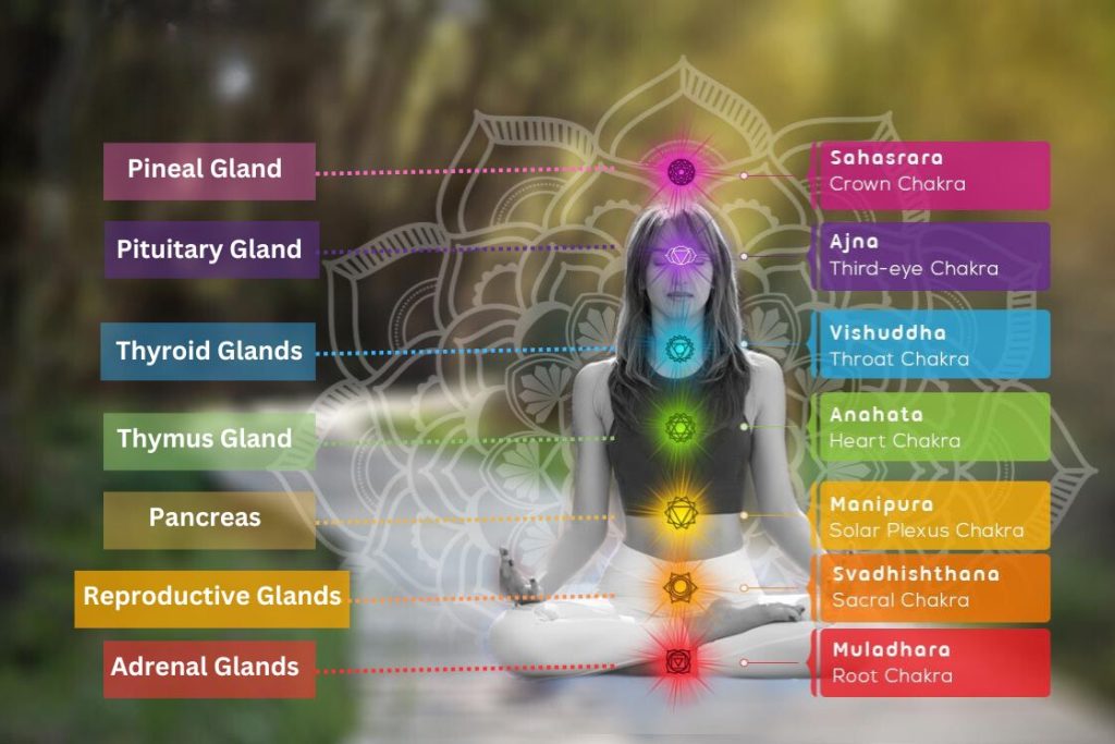 7 Chakra Yoga Poses Cheat Sheets, Digital Download PDF - Etsy
