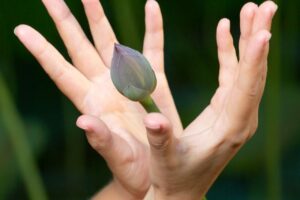 7 Powerful Yoga Mudras for Better Heart Health and Well-Being