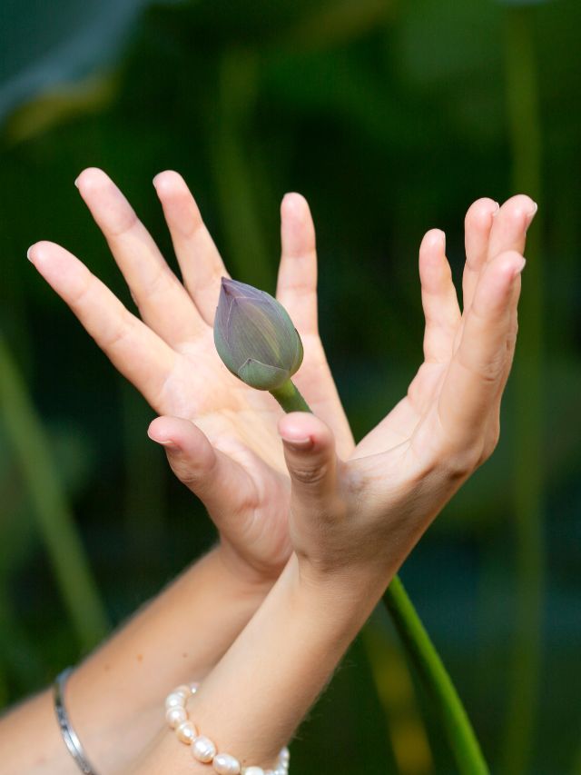 7 Powerful Yoga Mudras For Better Heart Health And Well Being Fitsri Yoga 7 Powerful Yoga Mudras For Better Heart Health And Well Being Fitsri Yoga