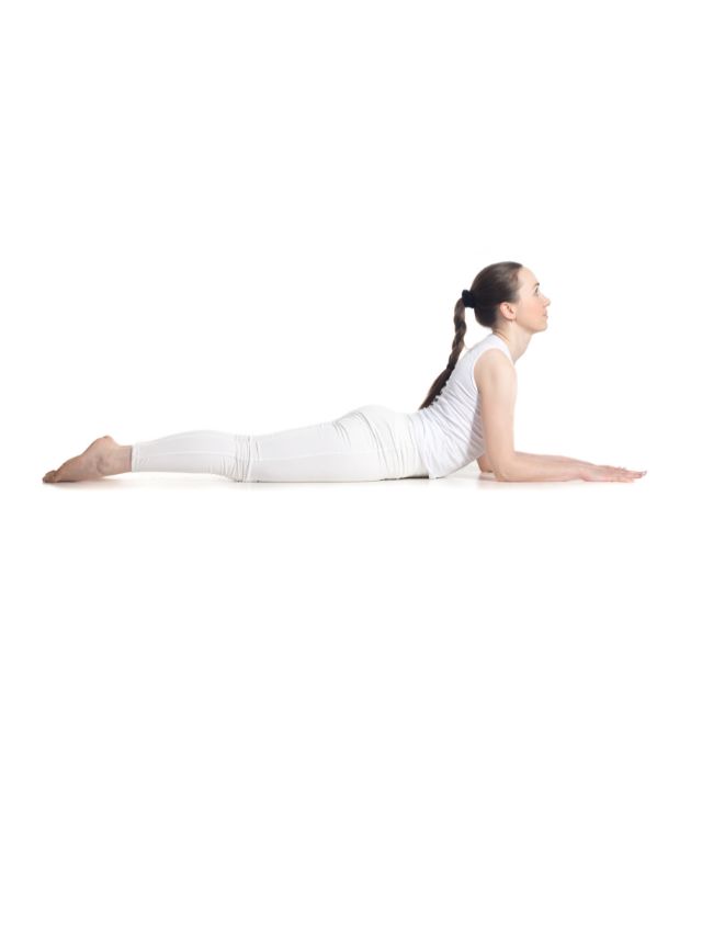The elbowroom - In Yin Yoga, we are mainly interested in the effects of  compressive and tensile (stretch) loads on our tissues. The sensation you  feel in the low back during sphinx
